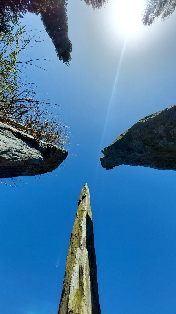 Eengezinswoning te koop in Weert