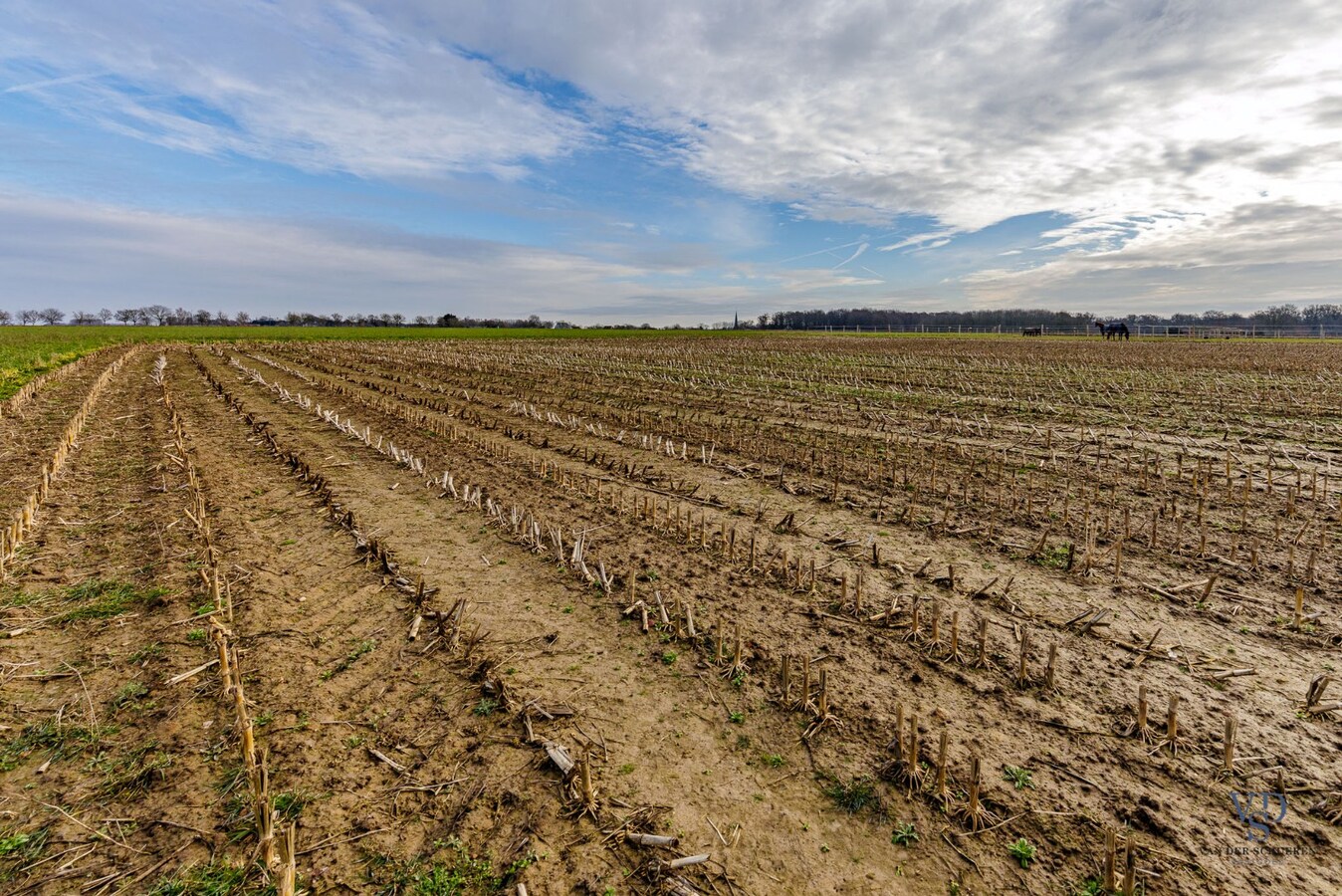 Landelijk gelegen perceel van meer dan 6000 m². 