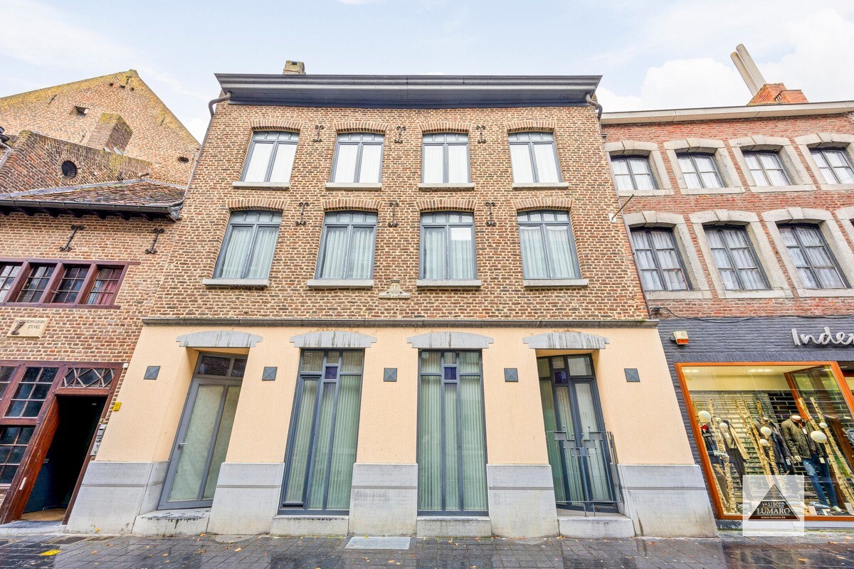 Burgerhuis 'Den Golden Naegel' - aan de Markt - lift - overdekte parking 