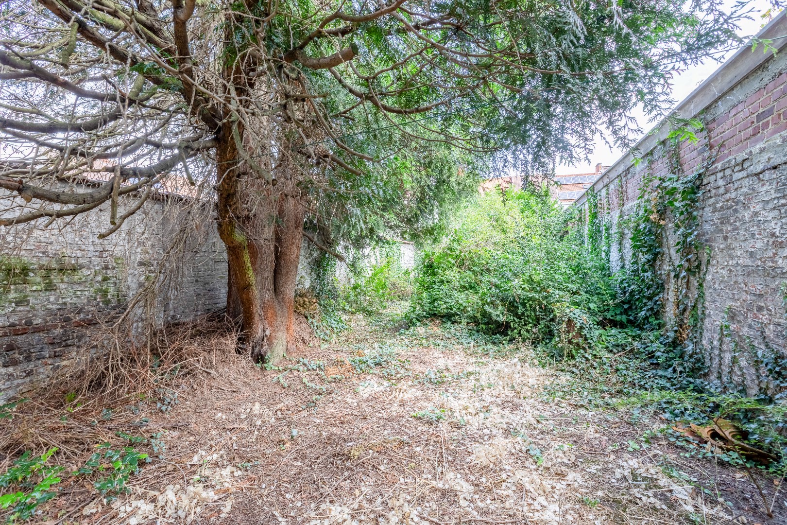 Te renoveren handelspand in het centrum van Ledeberg 