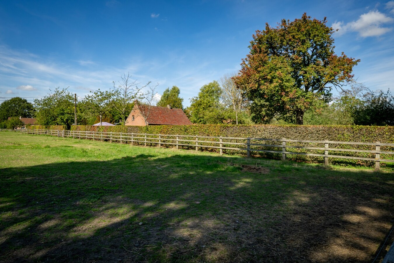 Renovated farmhouse with pasture on approximately 2 hectares in Veldegem. 