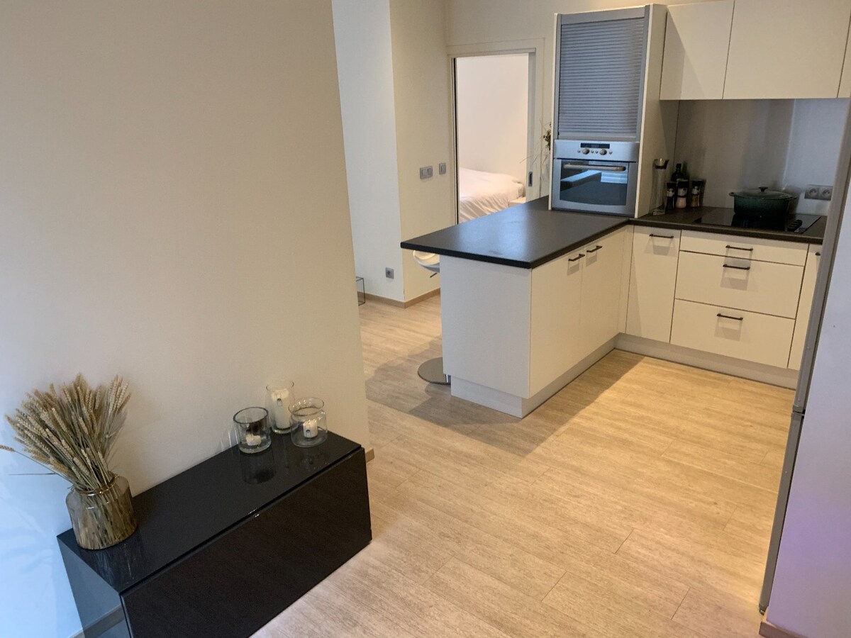 Hedendaags, gelijkvloers appartement in het centrum van Maaseik! 