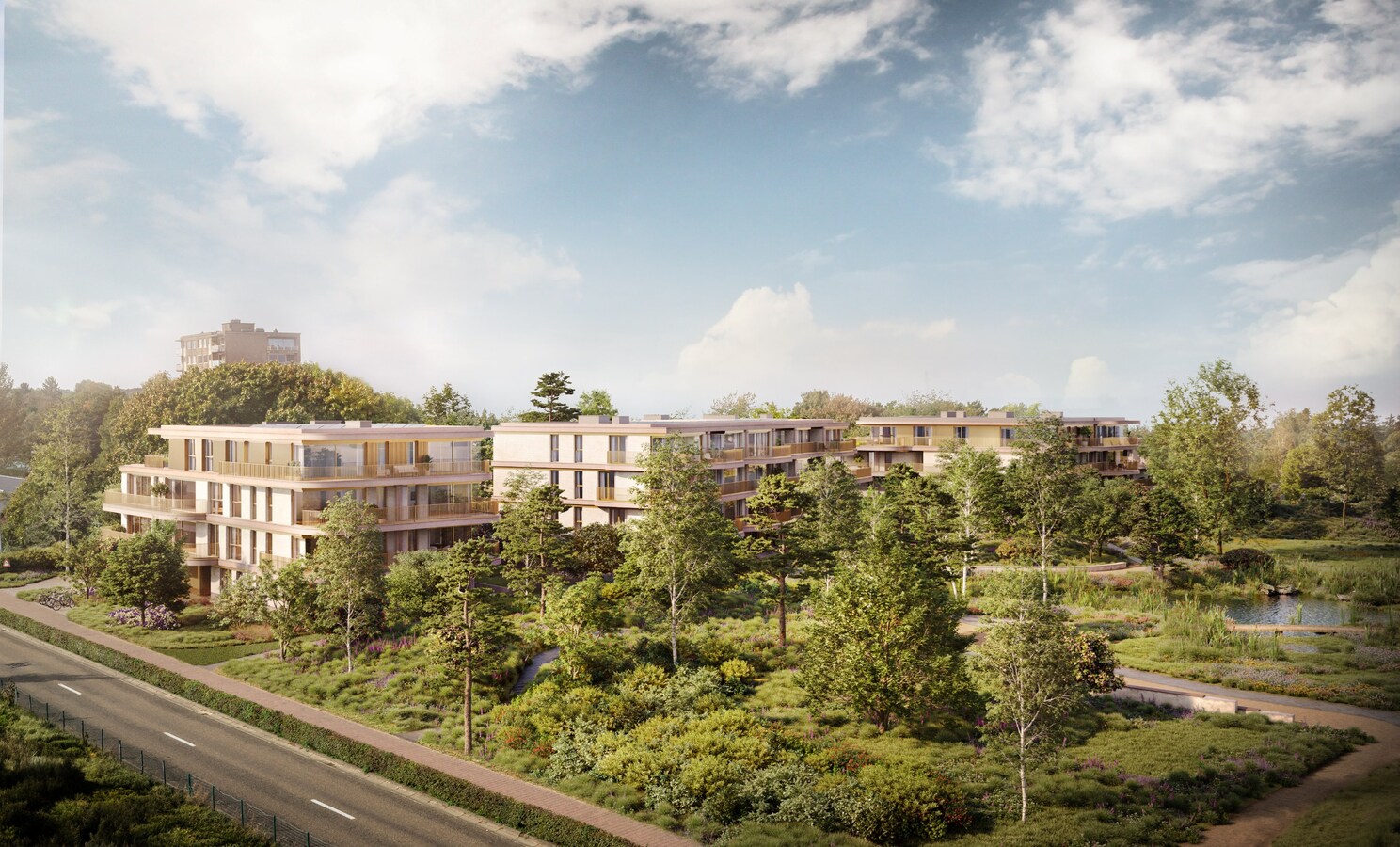 Nieuwbouwproject Zillande in Mol 