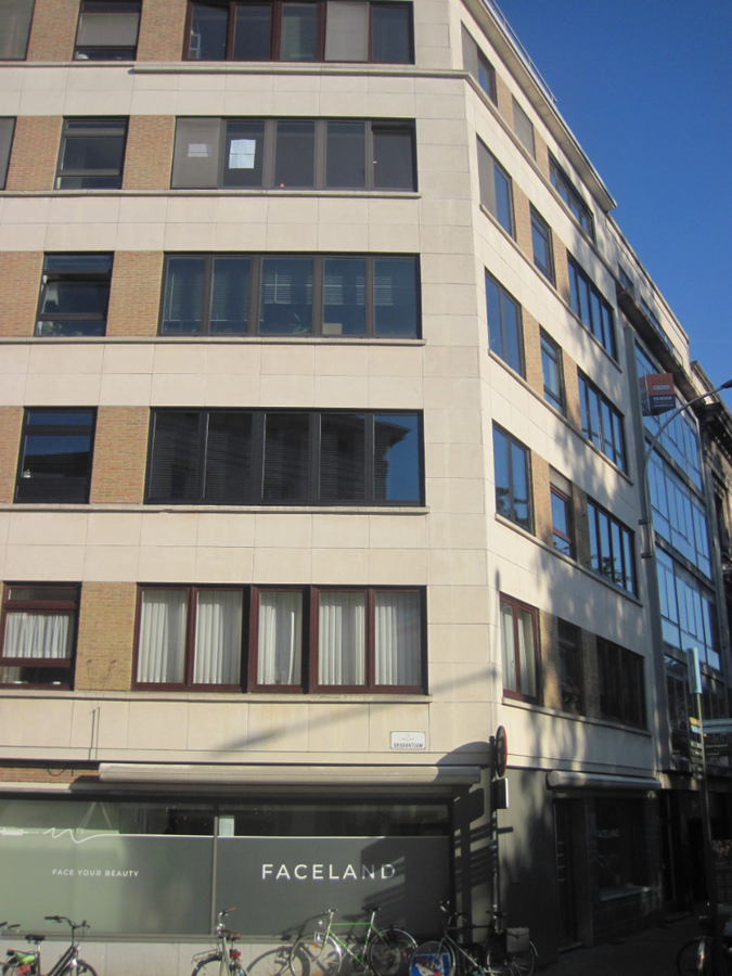 Lichtrijk, ruim 2-slp-appartement aan St-Anna-plein. 