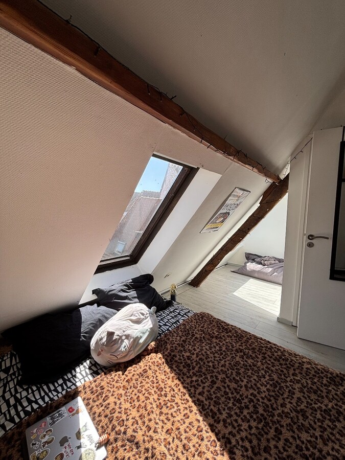 Lumineux appartement en duplex 