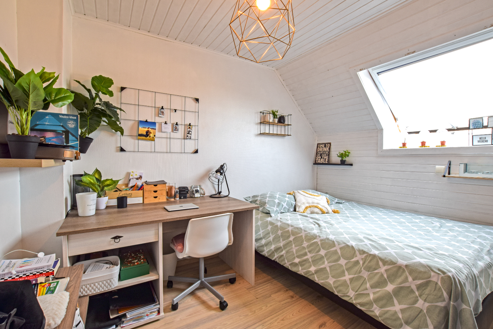 Instapklare energiezuinige woning met garage op 289m² te De Panne. 