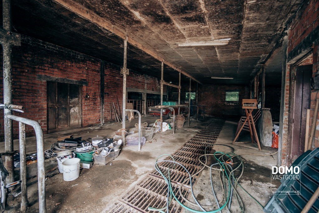 Ruime boerderij met stallingen en een prachtig groen uitzicht. 