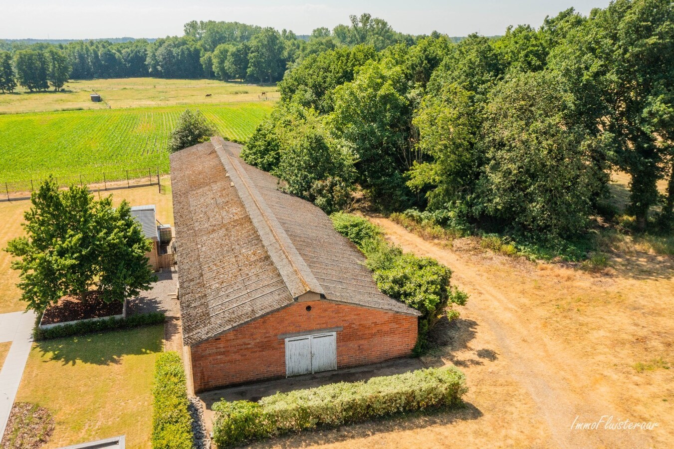 Belle maison avec écurie et terrain d'environ 1,63 ha à Opglabbeek (Oudsbergen) 
