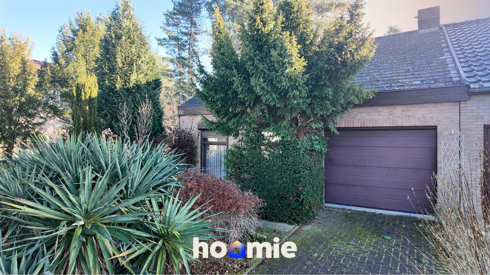 Woning met optie - reservatie in Maasmechelen