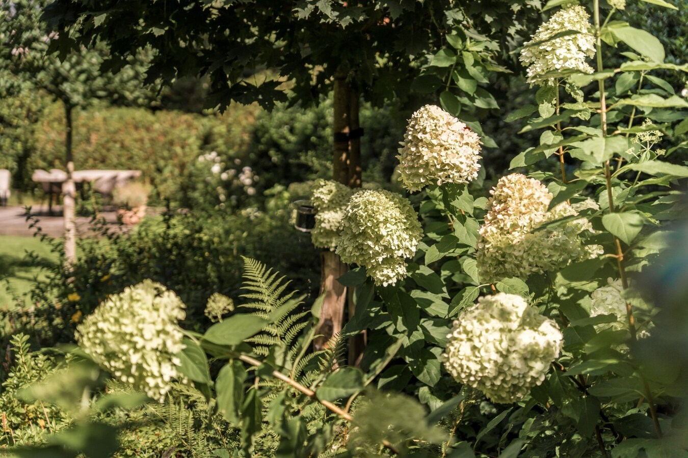 Prachtige villa met sublieme tuin op toplocatie in Schoten 