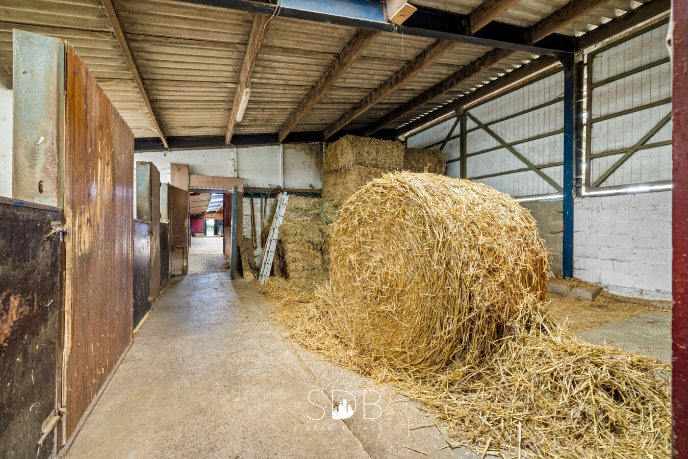 Hedendaagse woning met hippisch complex op circa 2hectare 