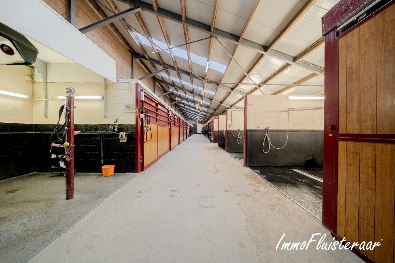 Exclusief Hippisch Complex met Uitstekende Trainingsmogelijkheden op ca 8,6 ha in Wuustwezel 