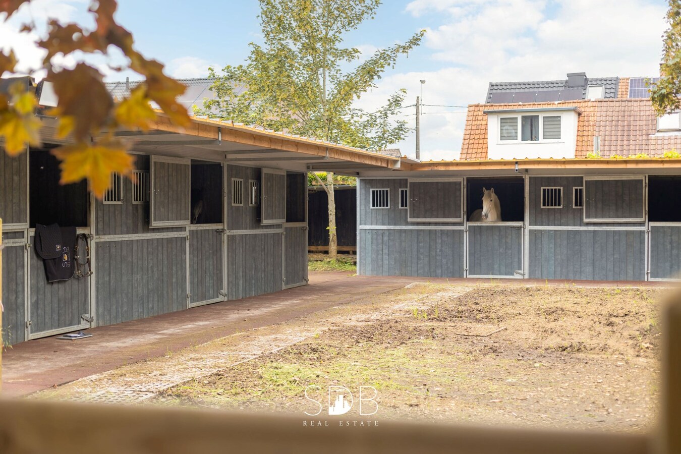 Prachtige villa met zwembad, paardenstallen, paddock en grasland op 1,3HA 