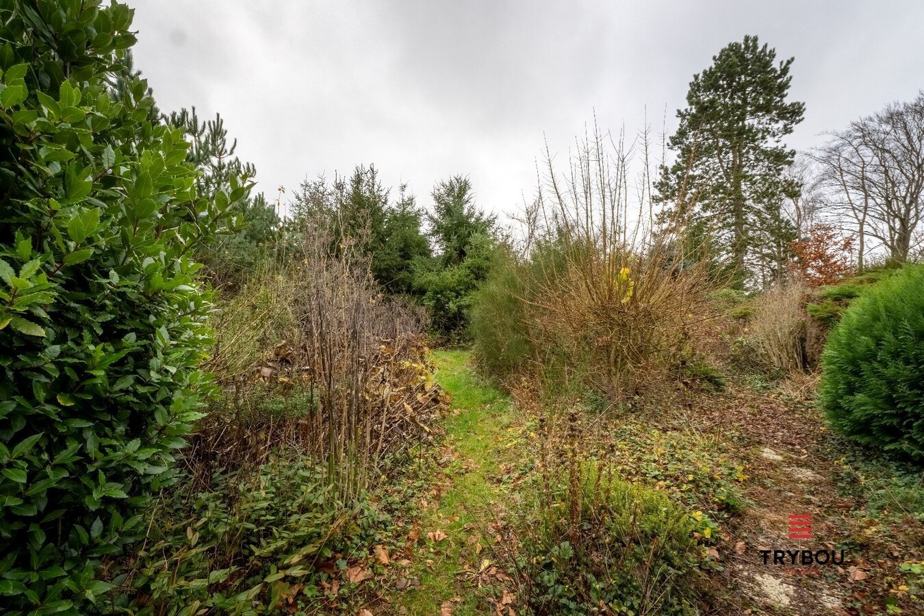 Unieke villa op de top van de Rodeberg 