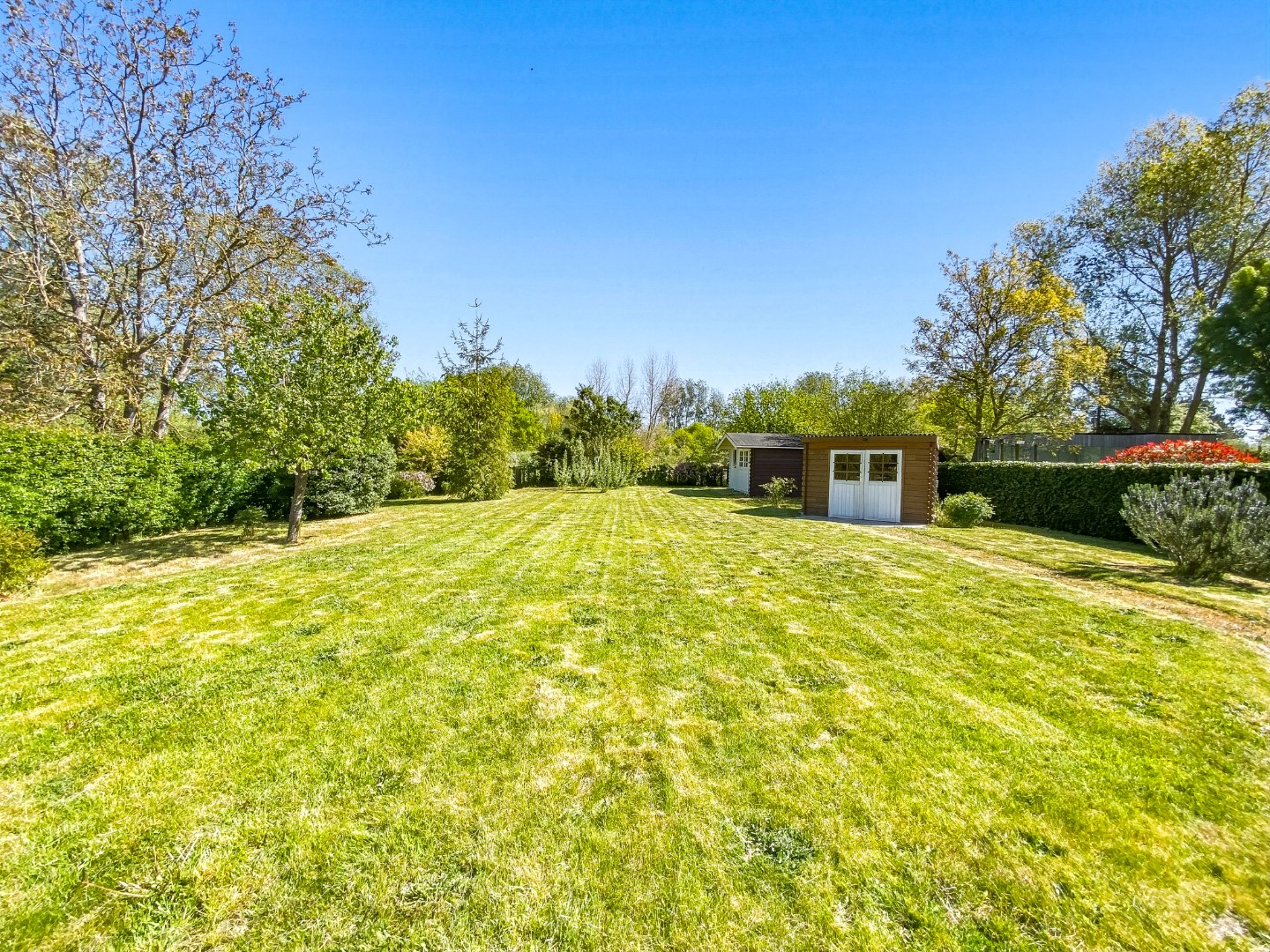 Ruime villa met 5 slaapkamers op 1082 m² te Oostduinkerke, gelegen vlakbij het natuurreservaat Hannecartbos. 