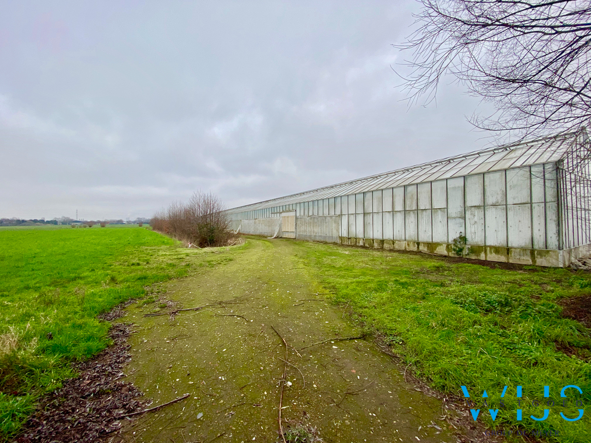 Landbouwgrond MET Serrecomplex te EVERGEM! 