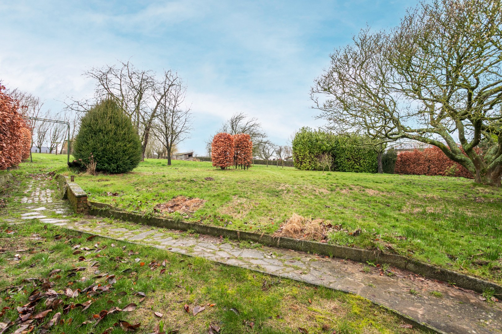 Ruime woning met veel potentieel in een groene omgeving op 39a 