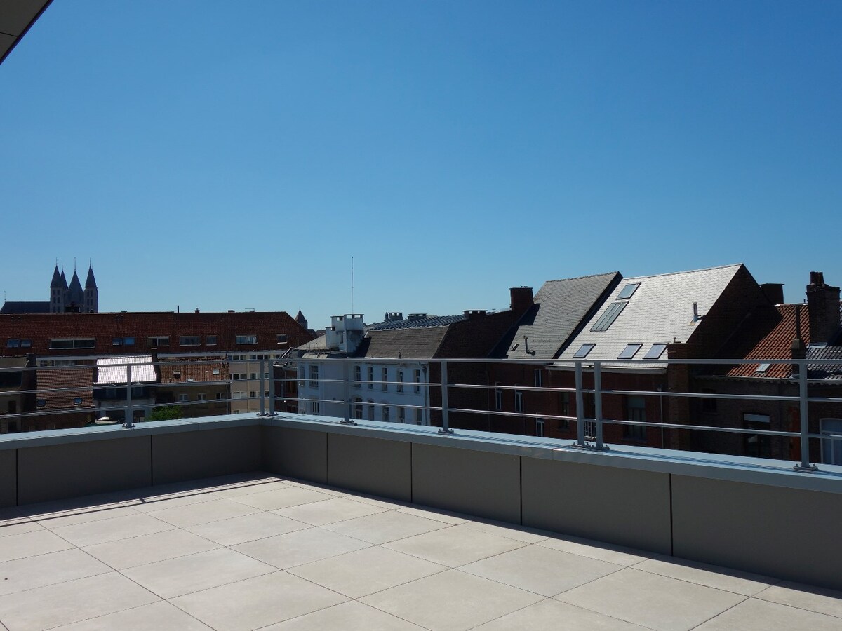 Magnifique penthouse, 3 chambres et terrasses ! 