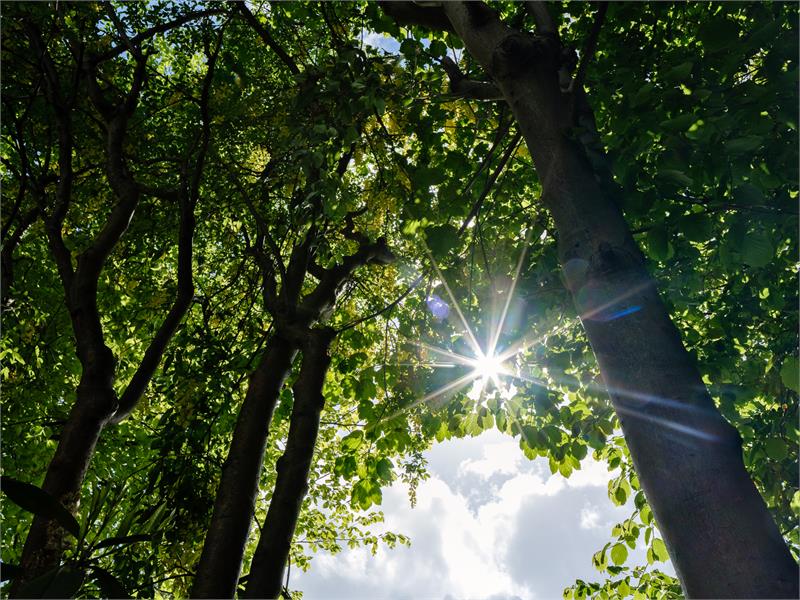 Huis in hippe Visserijbuurt 
