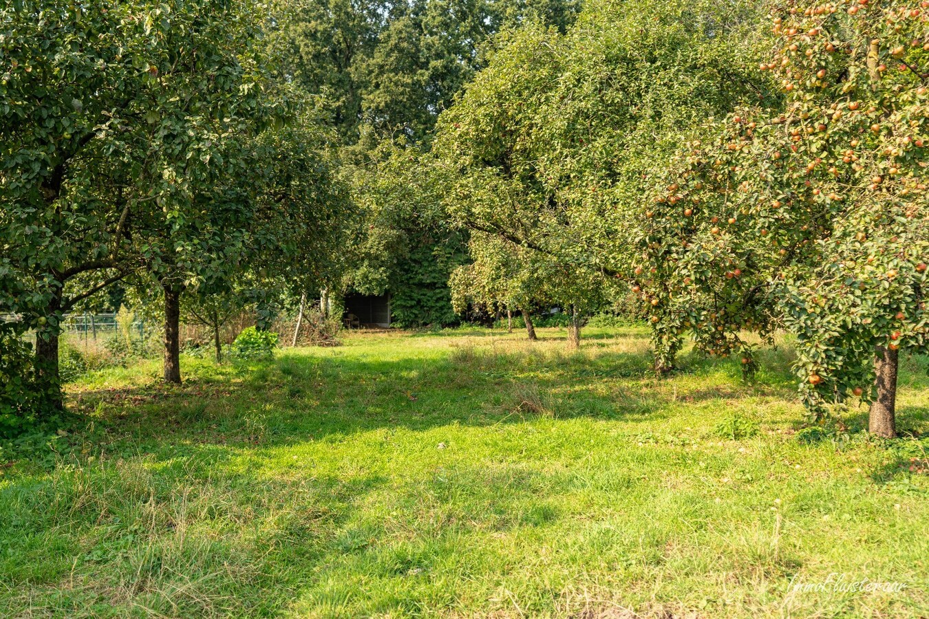 Propriété vendu À Neerpelt