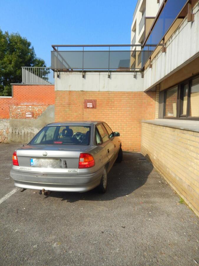 Handelspand op de markt van Gistel 