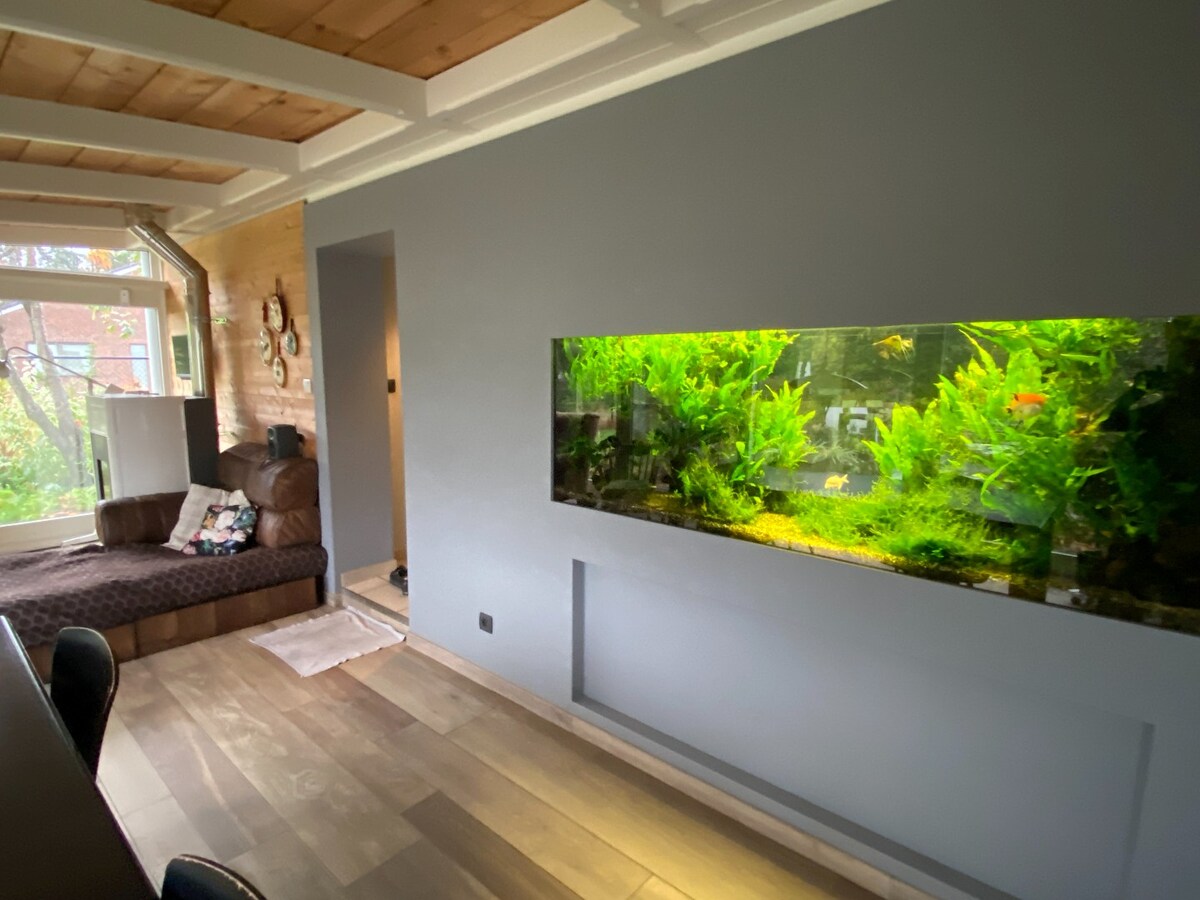 Charmant, milieuvriendelijk huis 