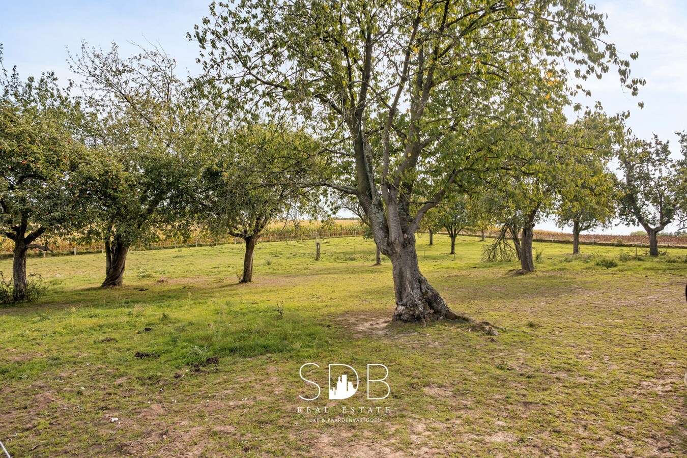 Prachtige landelijke hoeve woning met gezinstuin en graslanden op 1hectare 