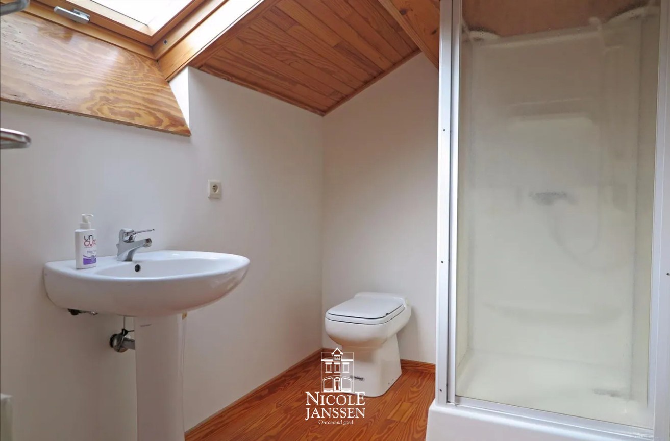 Kleine badkamer met douche, toilet en lavabo 