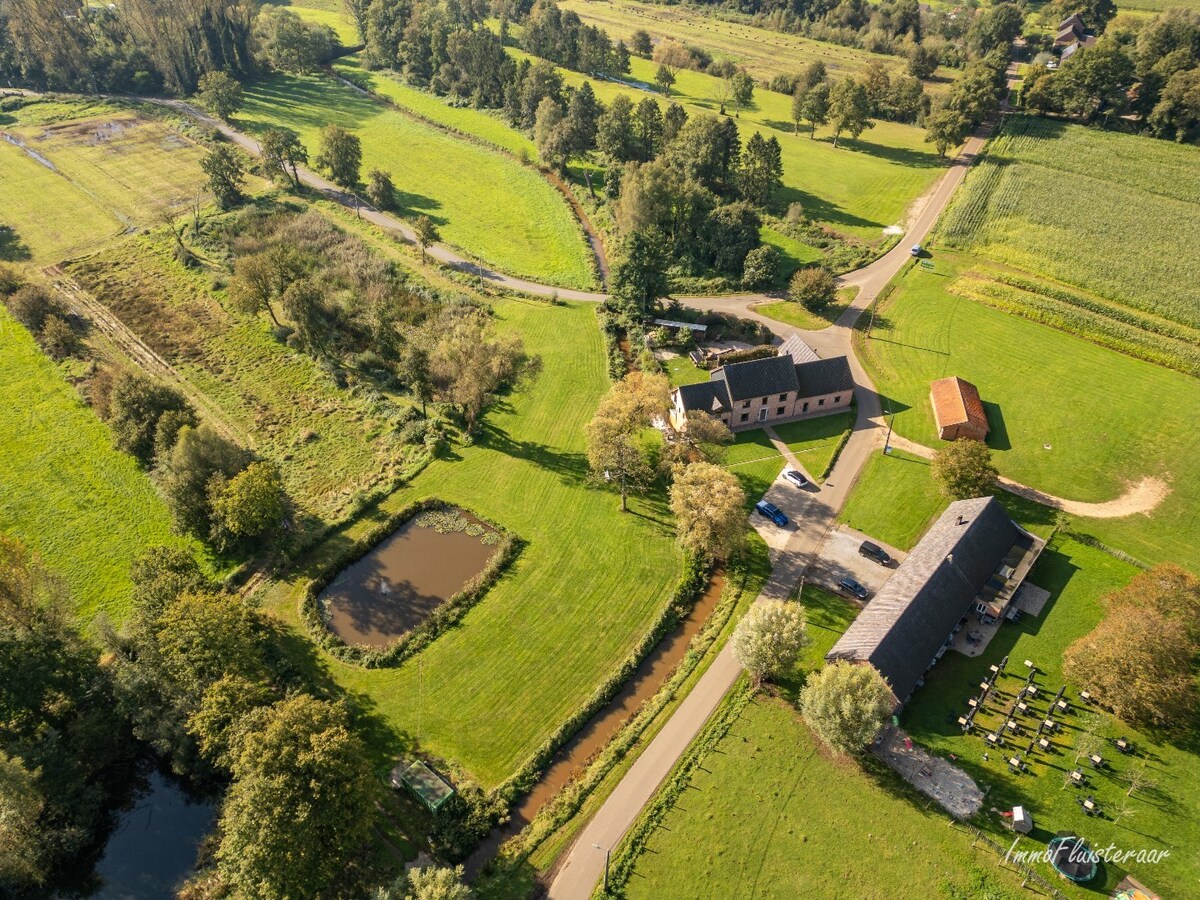 Ferme rénovée avec charme authentique sur environ 1,1 hectare à Paal (Beringen) 