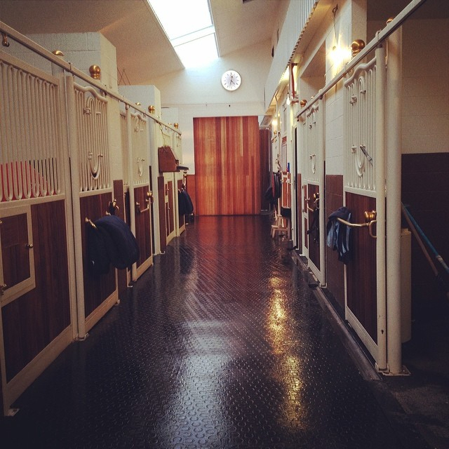 Exclusief professioneel hippisch centrum op ca. 3,5ha te Fleurus (Henegouwen; België) 