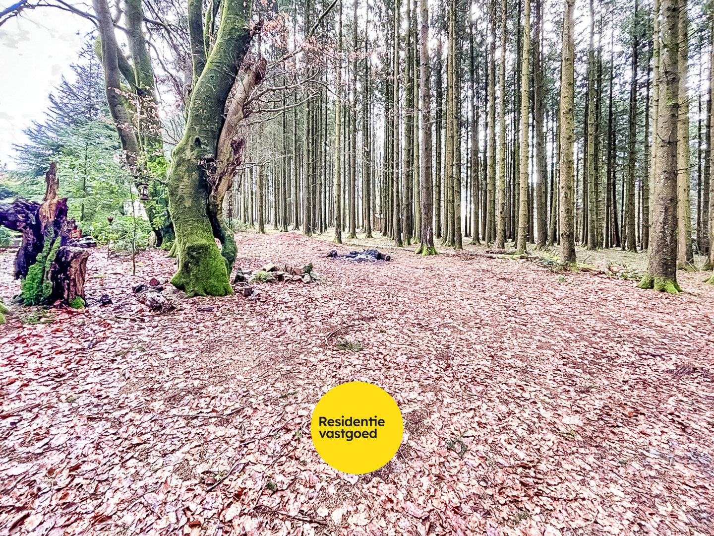 Rustieke Eigendom met Karakter te Tailles! 