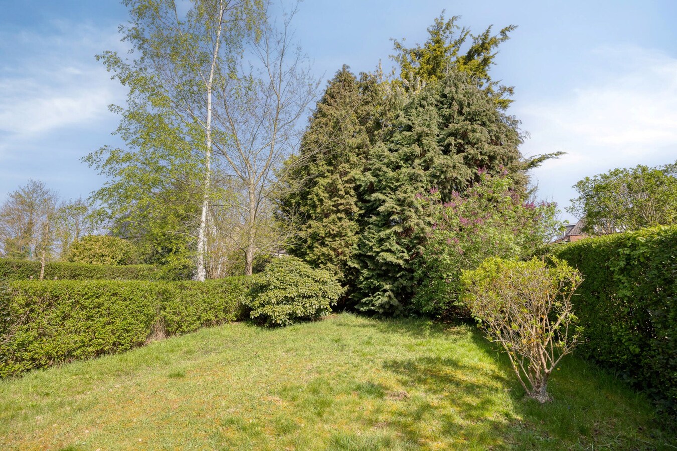 Te koop woning - Sint-Genesius-Rode