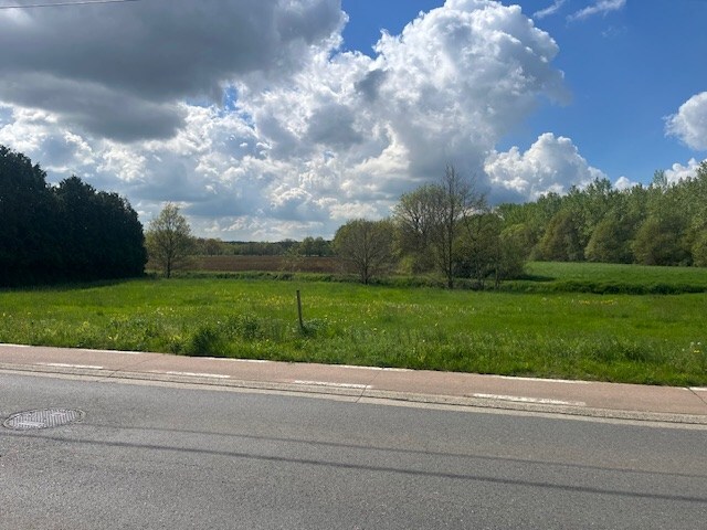 Te koop grond - Begijnendijk