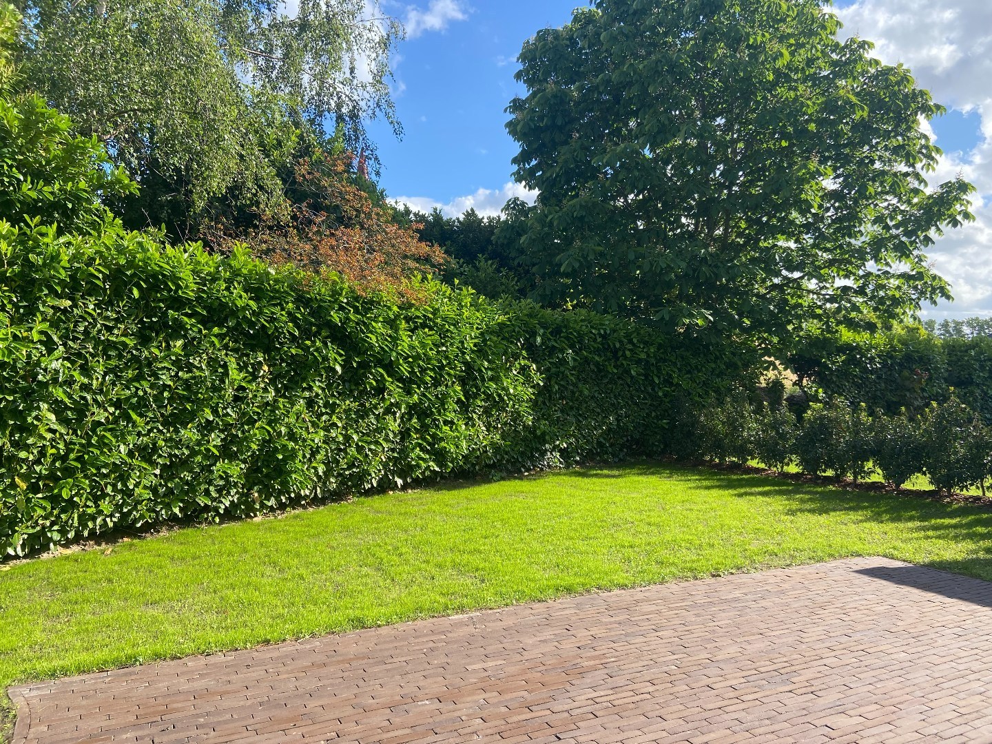 Exclusieve, energiezuinige nieuwbouwwoning op een discrete ligging te Waregem! 