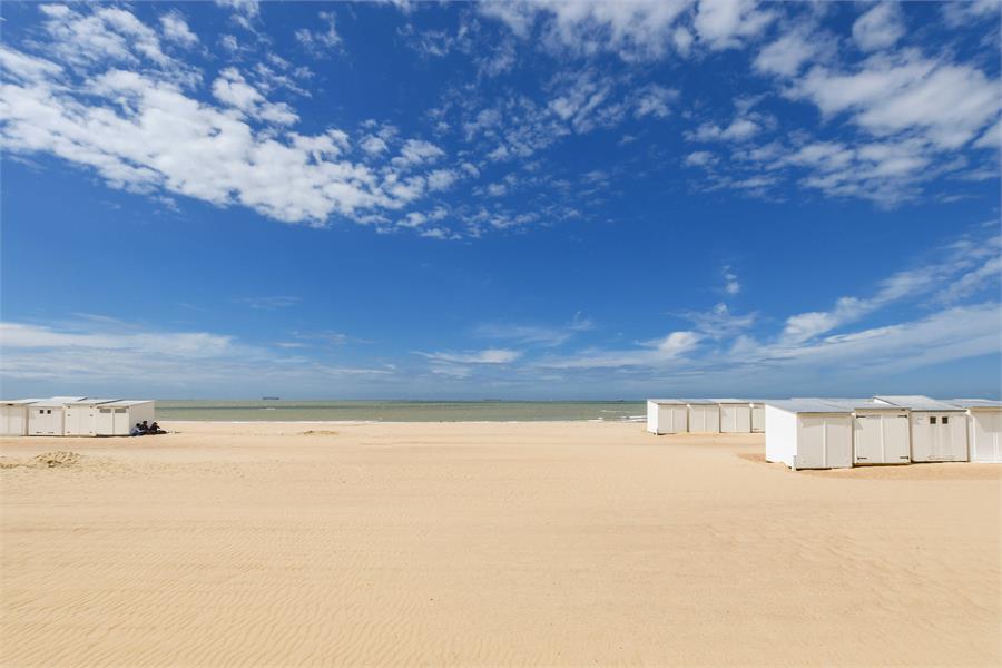 Totaal gerenoveerd appartement op topligging in Knokke 