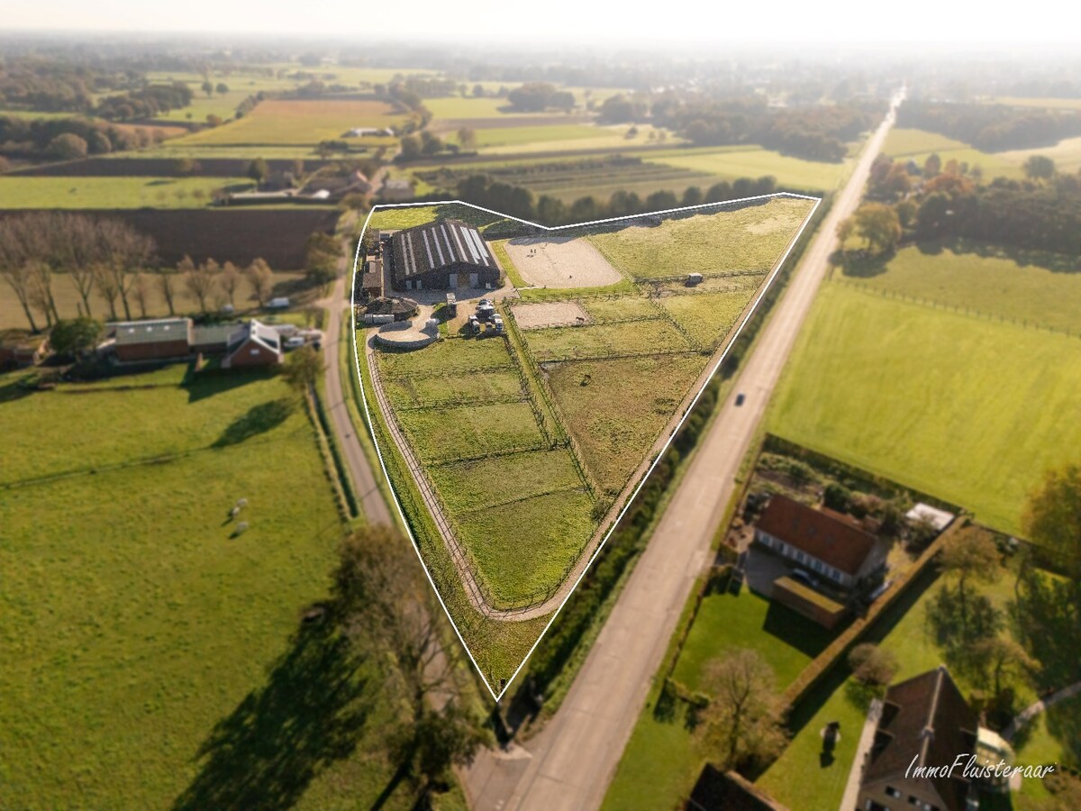 Volledig uitgeruste paardenaccommodatie op ca. 4,2 ha nabij Herentals 