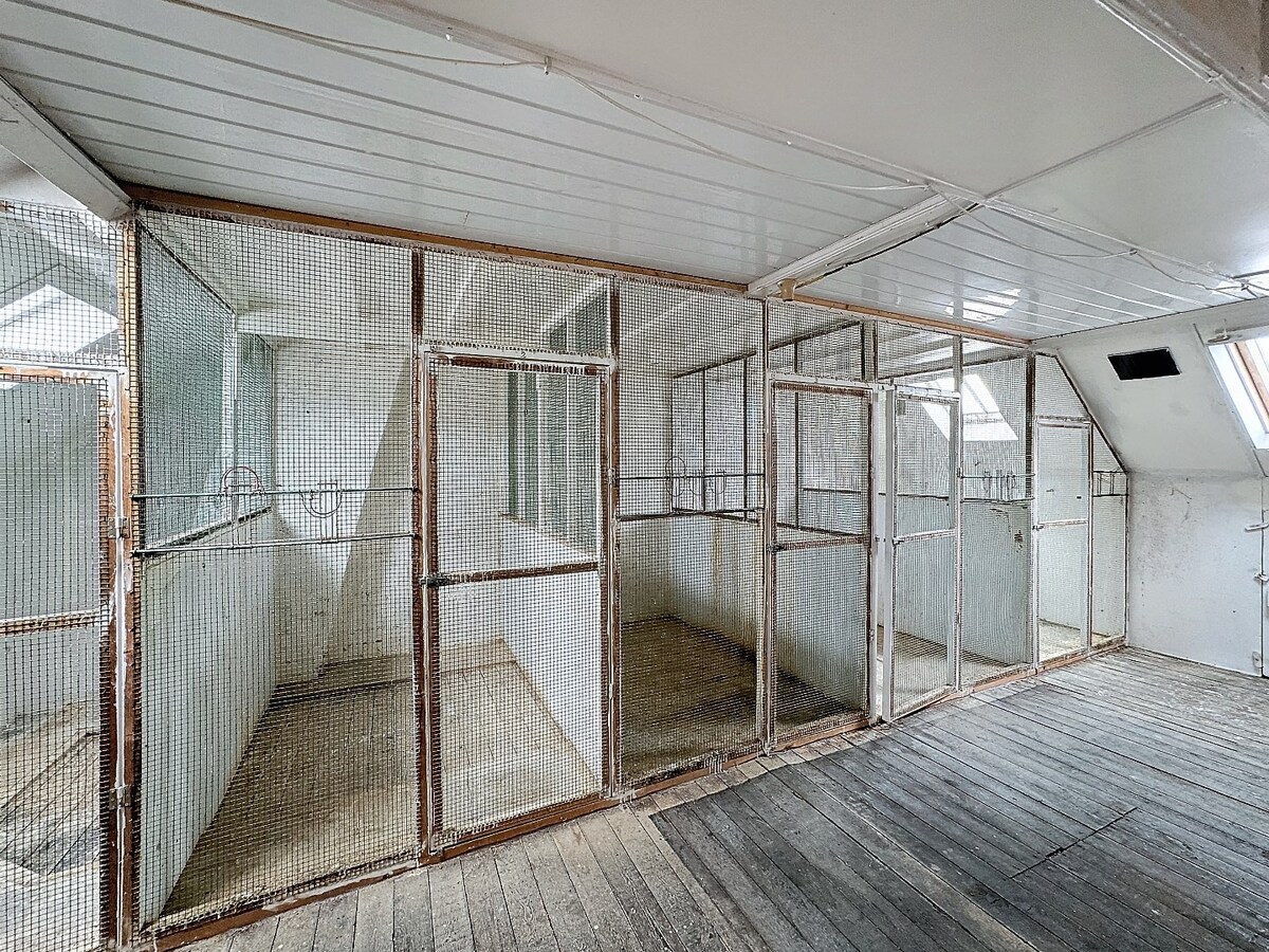 Ruime, te renoveren woning met grote tuin te Herzele 