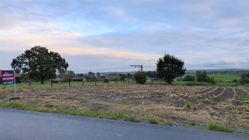 Weiland verkocht in Wortegem-Petegem