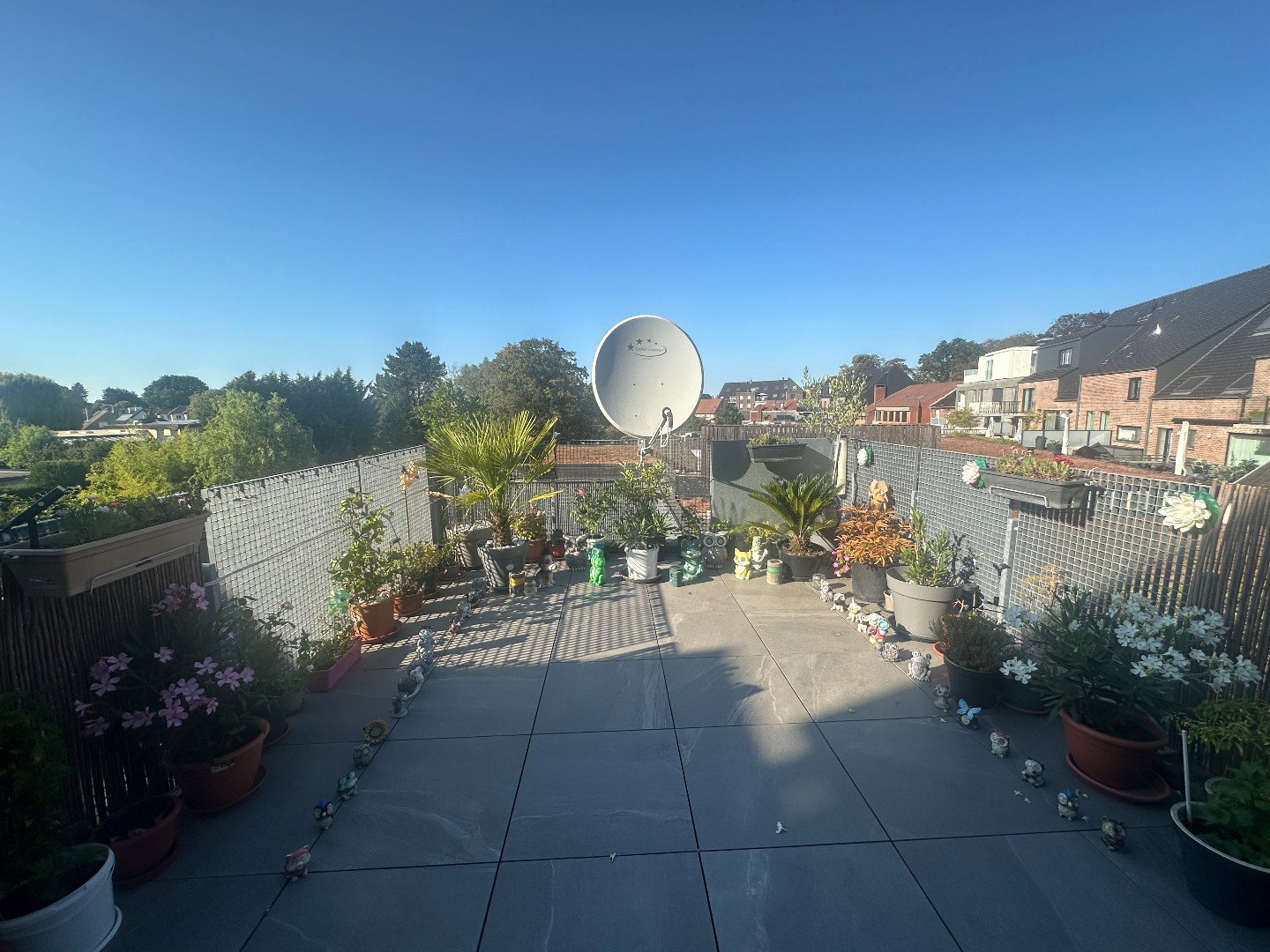 Terras achterzijde