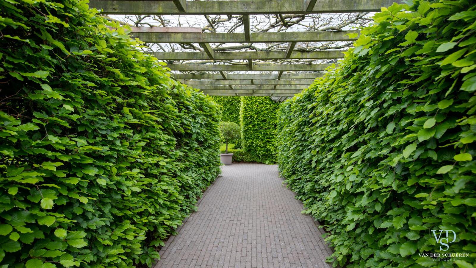 Zeer energiezuinige villa met unieke ligging (Kruisembos). 