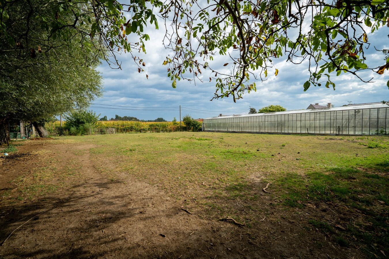 Charmante hoeve met weiland op 4.029 m² 