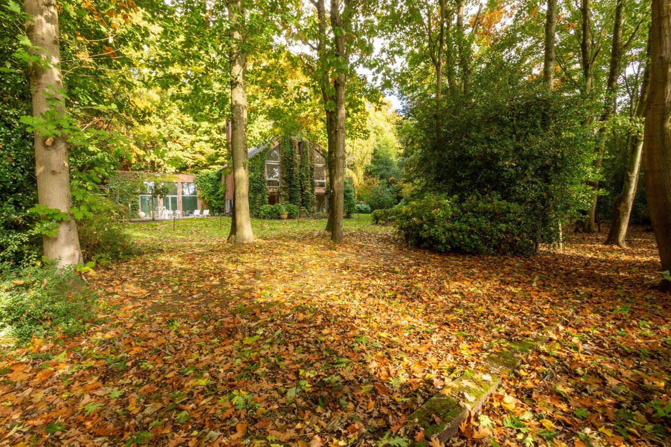 Villa op 3 345 m², droomlocatie te Sint-Martens-Latem 