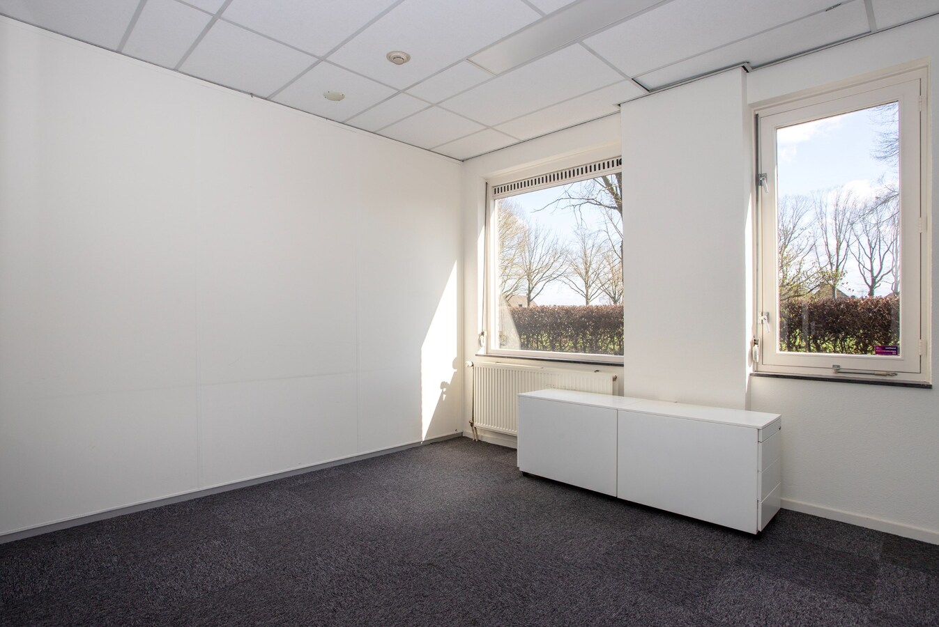 Vrijstaande representatieve kantoorruimte van circa 342 m2 met ruim voldoende parkeergelegenheid. (circa 20 plaatsen) 