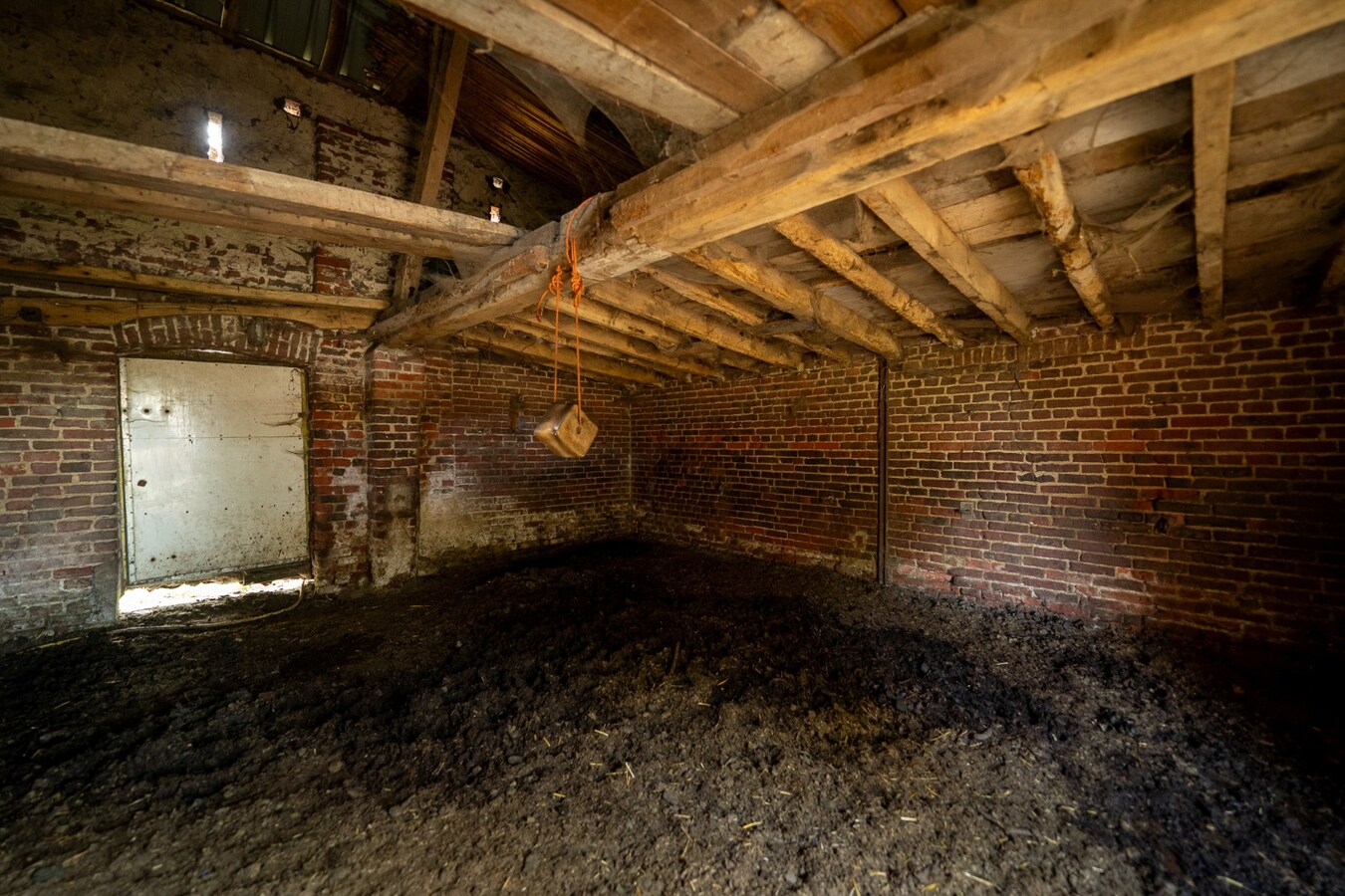 Charmante hoeve met weiland op 4.029 m² 
