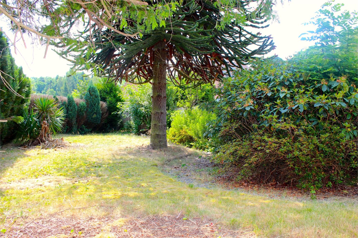 Halfopen woning  met veel potentieel in Geraardsbergen. 