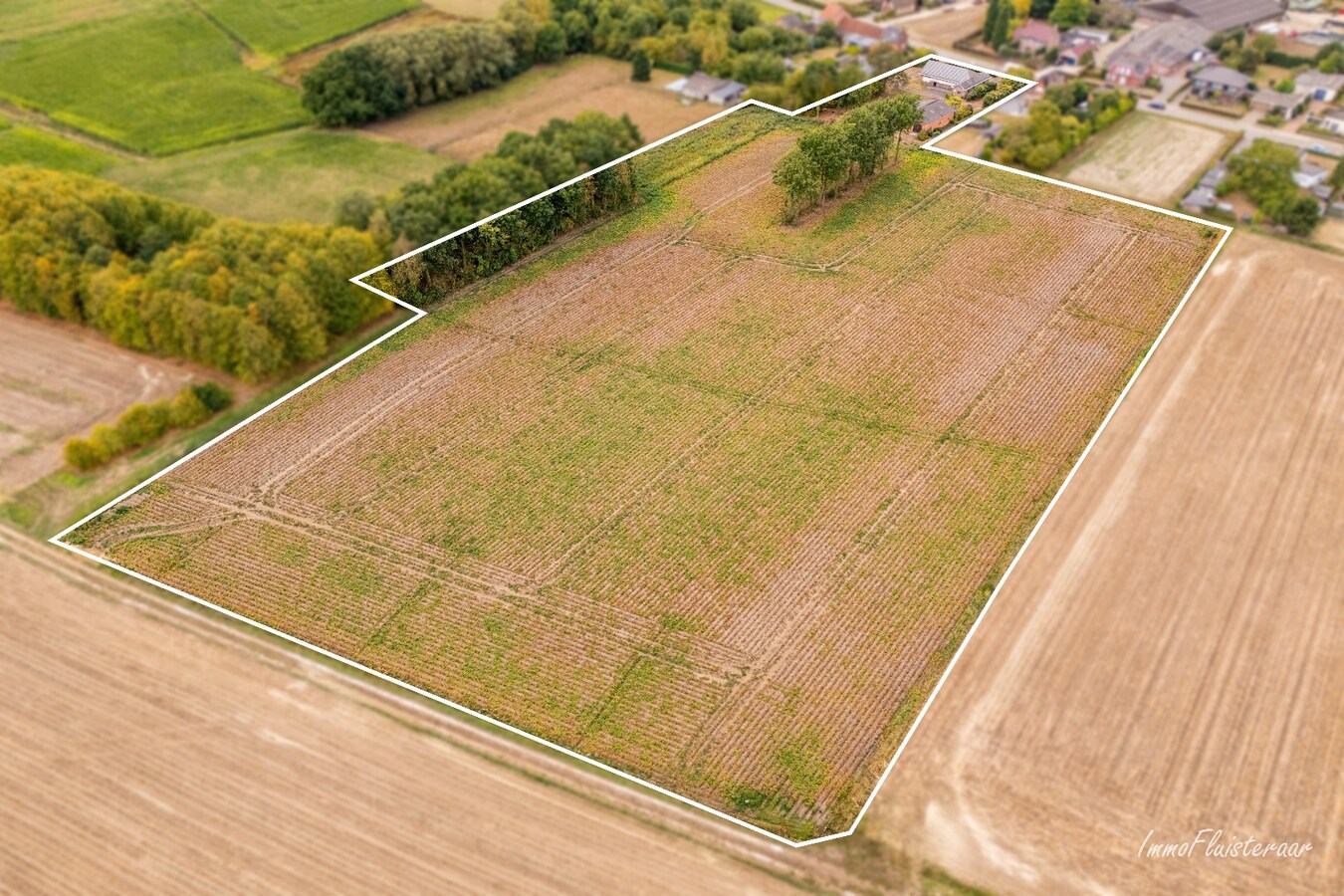 Vrijstaande woning met bijgebouw op 1 ha (Aankoop extra aanpalende ca. 2 ha mogelijk) te Heist-op-den-Berg 