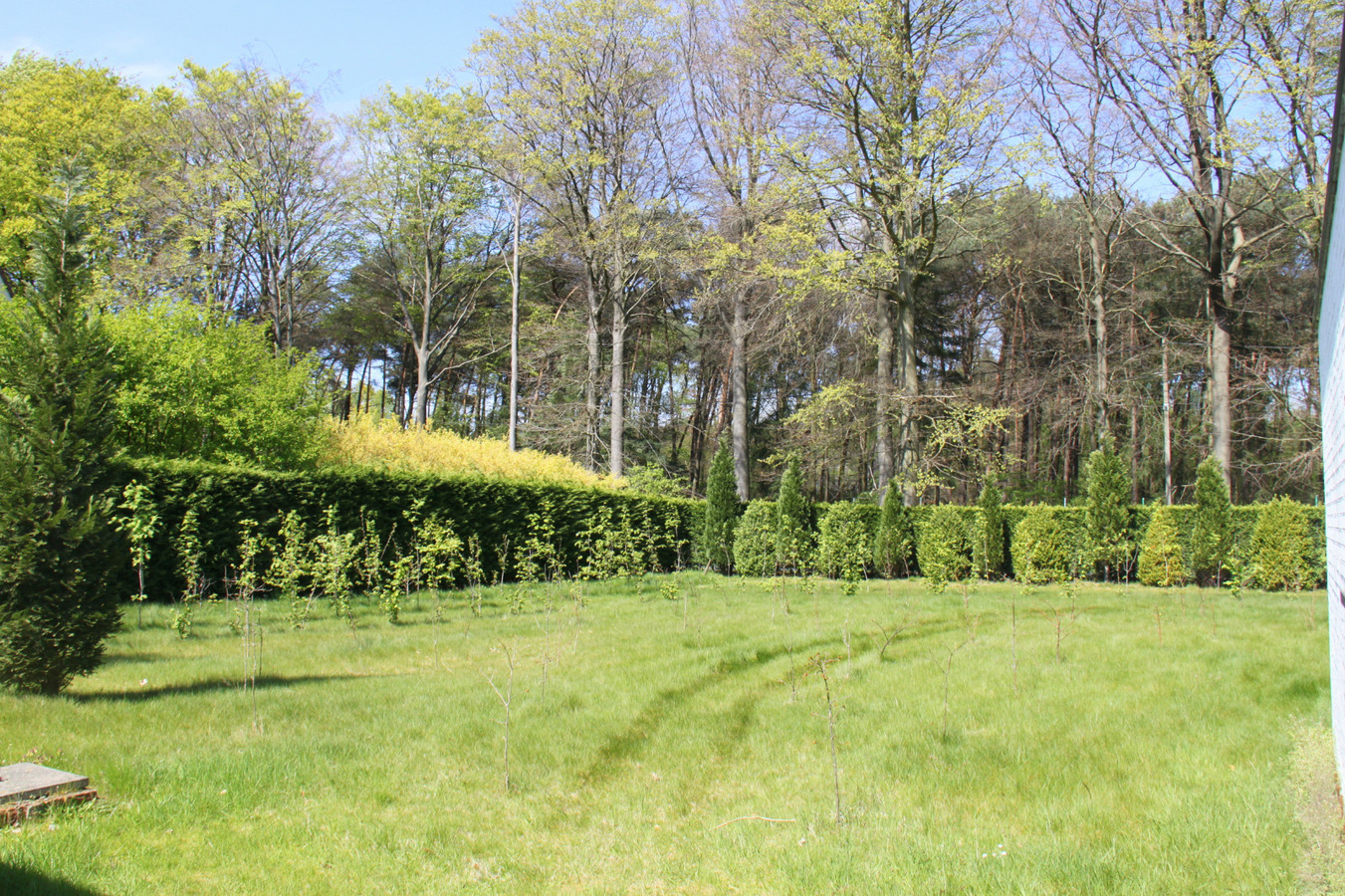 Unieke gemeubelde villa in het bos van Hertsberge 