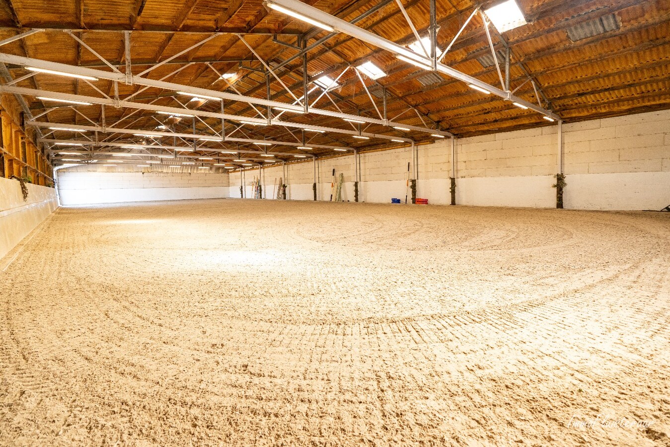 Complete paardenaccommodatie met studio op ca. 1,1ha te Bree 