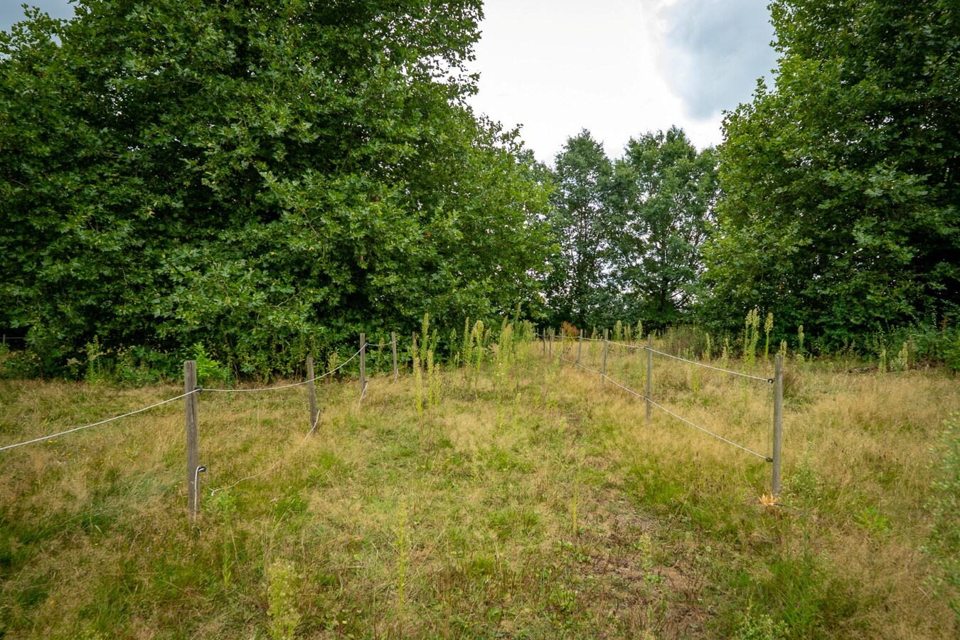 Karaktervolle hoeve met weides op ca. 2ha te Herk-de-Stad 