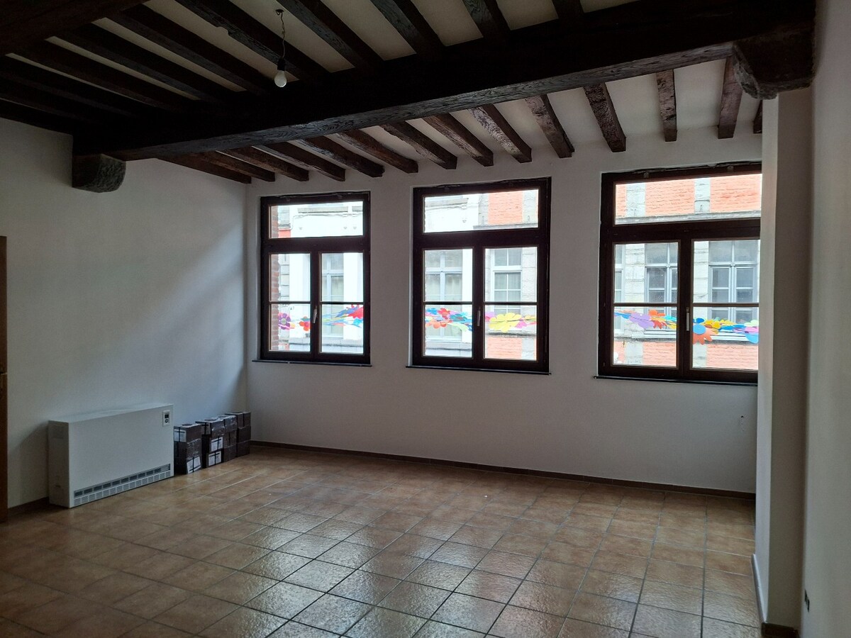 Tournai Coeur Cathédrale bel immeuble mixte 